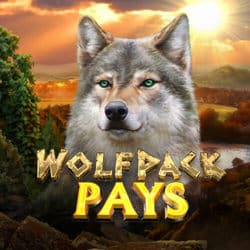 WolfpackPays